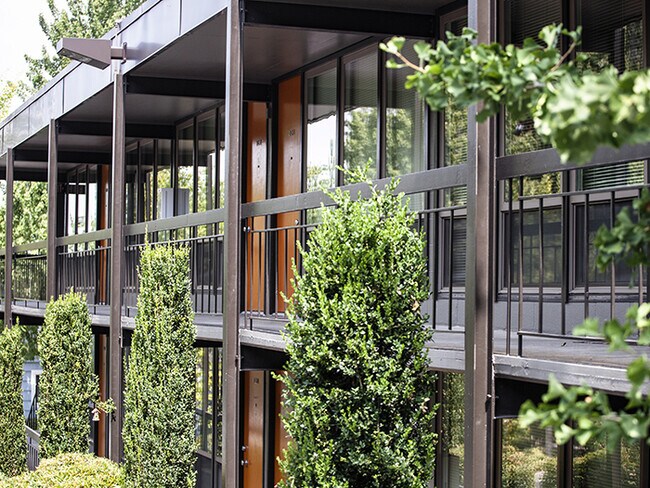 Foto del interior - The Macleay