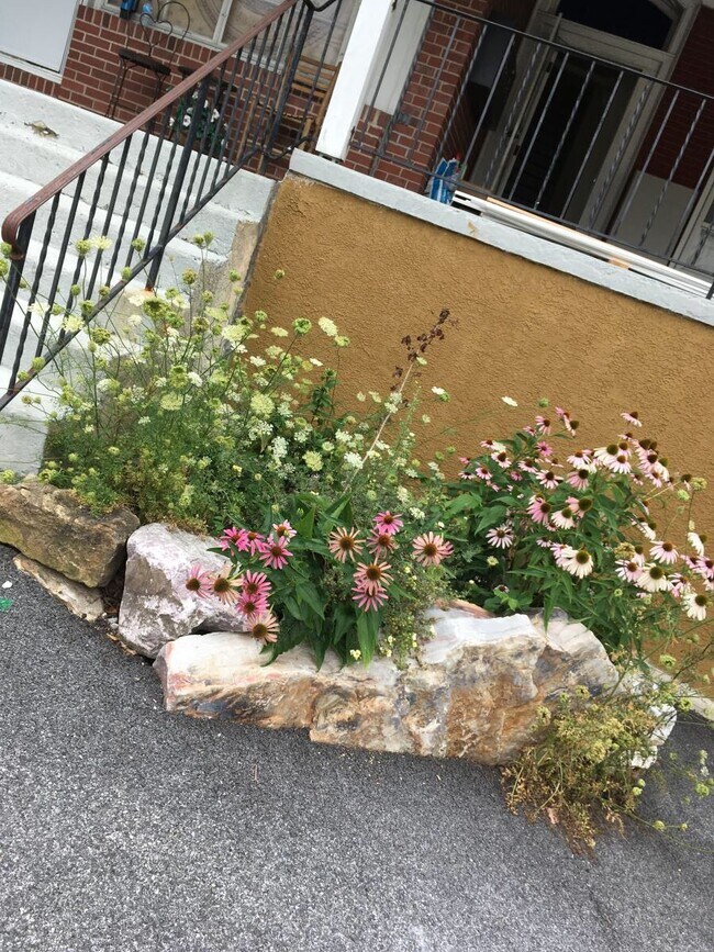 Front Garden - 2200 Kimberton Rd