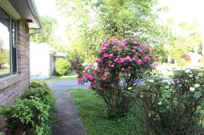 Building Photo - 1102 Highland Dr