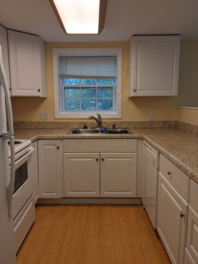 Foto del edificio - Charming West Asheville Basement Apartment