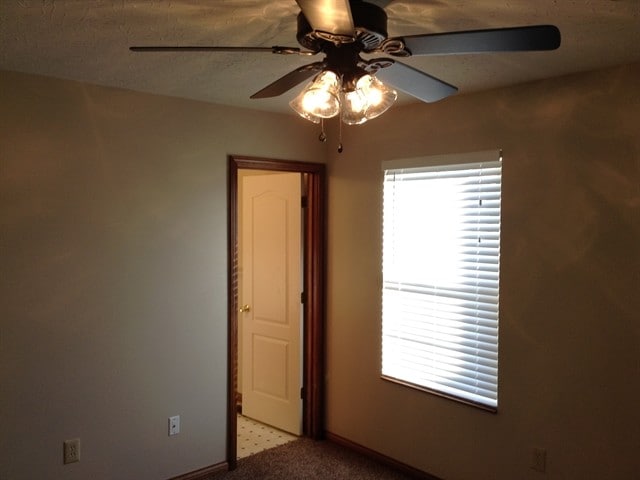 Building Photo - 2479 Camellia Ct