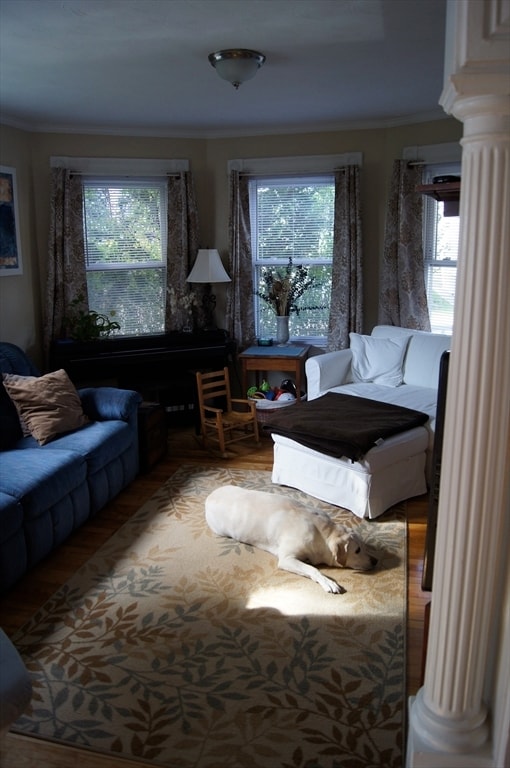 Building Photo - 39 Cabot St