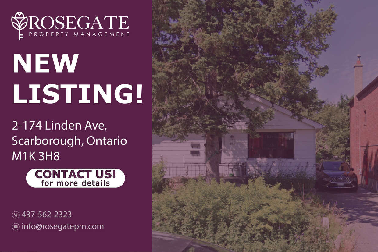 Photo principale - Newly Renovated 1-Bedroom Basement Unit in...