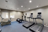 This fitness center is a thoughtfully designed, single-floor workout facility that makes efficient use of its space to deliver a comprehensive exercise experience. The room is unified by a distinctive chevron-patterned wallcovering in neutral tones of beige and gray, lending a modern and visually dynamic aesthetic throughout. Motivational typography accents one of the walls, reinforcing the space's active atmosphere.

The cardio section is well-appointed, featuring multiple treadmills and elliptical trainers from Life Fitness, each equipped with individual display screens for an enhanced workout experience. A recumbent bike provides a low-impact cycling option. For strength training, a rack of dumbbells in graduated sizes is available alongside an adjustable weight bench, catering to a range of resistance exercises. A rowing machine and stationary upright bike round out the equipment offerings.

The flooring transitions between blue rubberized matting in the cardio zone and smooth gray flooring in the strength area, providing appropriate surfaces for each activity type. Recessed lighting illuminates the space evenly from above. A wall-mounted flat-screen television and a water dispenser add convenience for users. Natural light filters in through several windows, and a large mirror along one wall enhances the sense of openness. The facility is clean, organized, and functional.