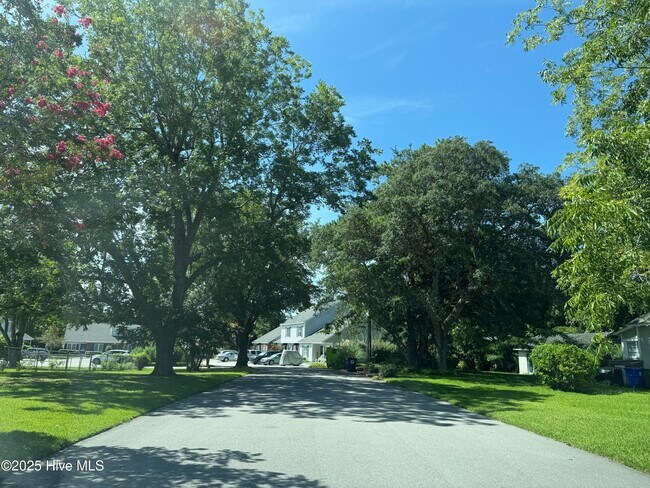 Foto del edificio - 126 Crystal Pines Ct