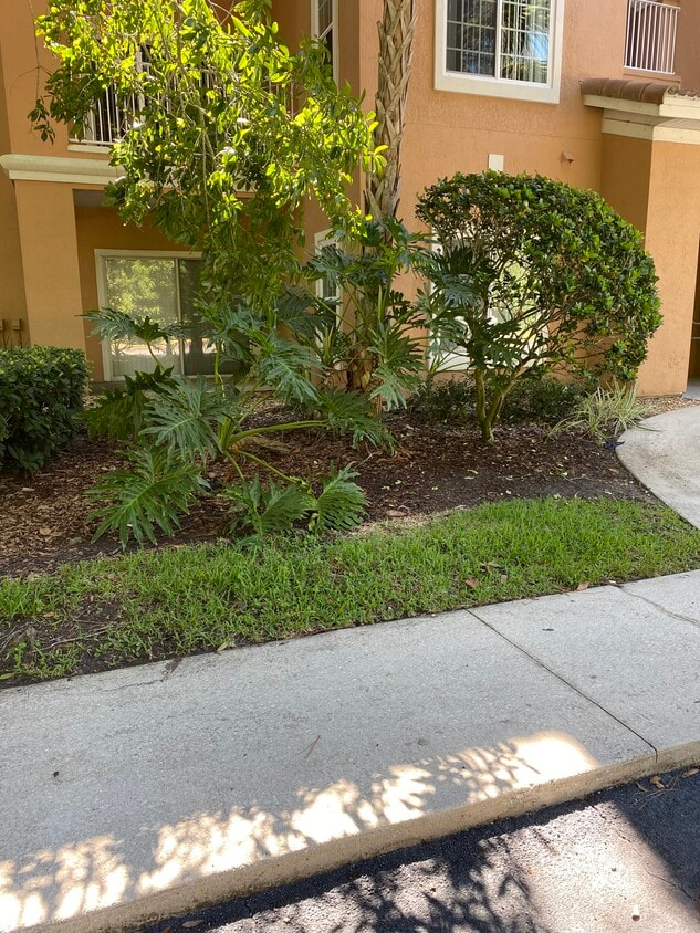 Primary Photo - 520 Florida Club Blvd