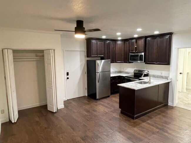 Kitchen and closet in main room - 125 E 1st Ave