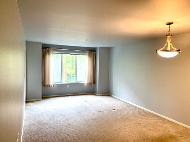 Photo - University District Condo