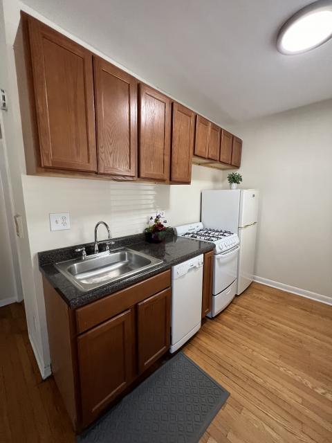 1 bedroom in Chicago IL 60613 - 1 bedroom in Chicago IL 60613
