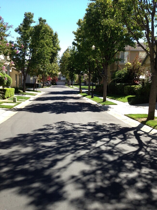 Foto del edificio - 331 Apple Blossom Ln