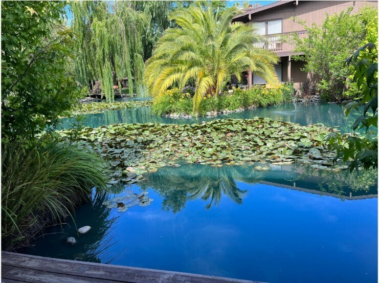 Foto principal - 2422 Larkspur Ln