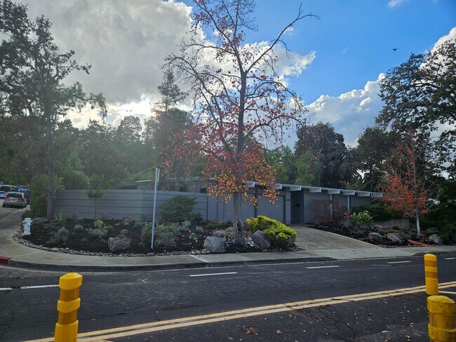 Foto del edificio - Eichler home near downtown Walnut Creek