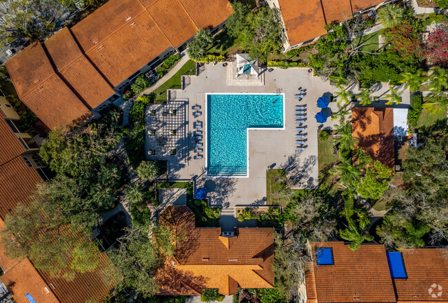 Piscina - Vintage Grand at Palmer Ranch Apartments