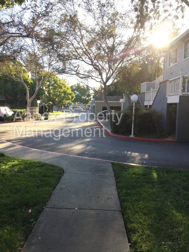 Building Photo - 3501 Birchwood Ter