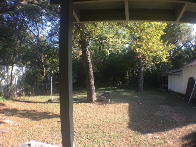 Back Yard - 711 Page Ave