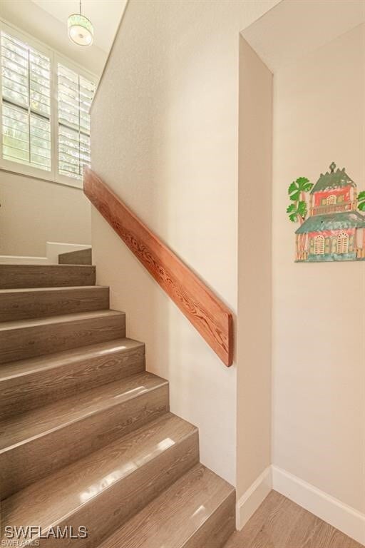 Foto del edificio - 55 Emerald Woods Dr