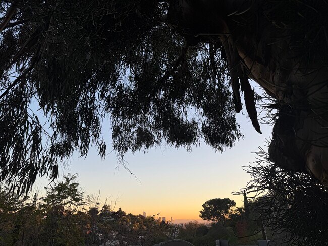 Foto del edificio - 2315 Loma Vista Pl