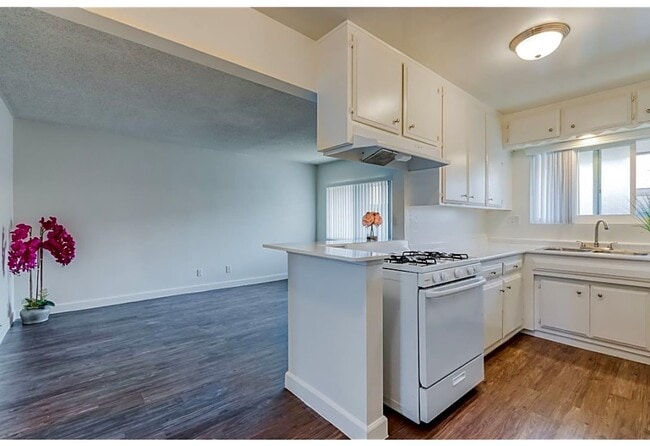 Interior Photo - Somerset plaza