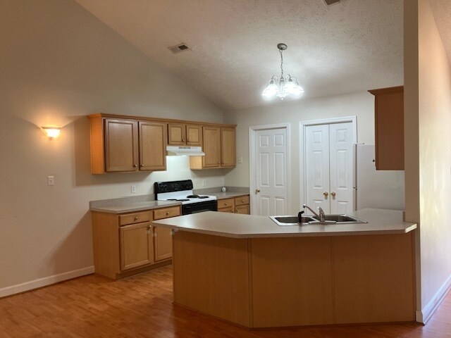Foto de la cocina 1 - 1101 Pine Run Dr