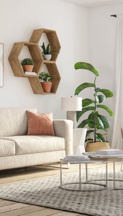 Foto principal - Maple Court