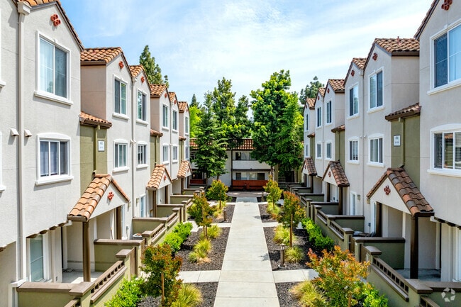 Courtyard - La Terraza