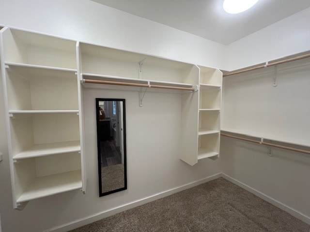 Building Photo - 3781 W Birch Leaf Way