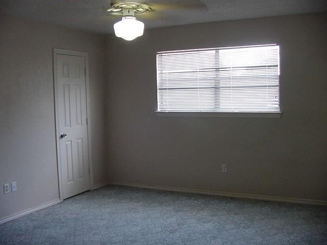Foto del edificio - 3622 Green Hollow Dr