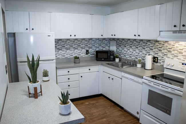 Kitchen - 3405 Charlemagne Cir
