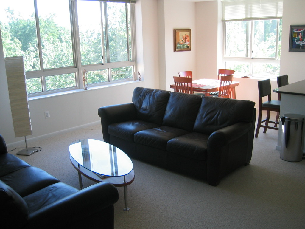 Bright, open living area - 355 I St SW