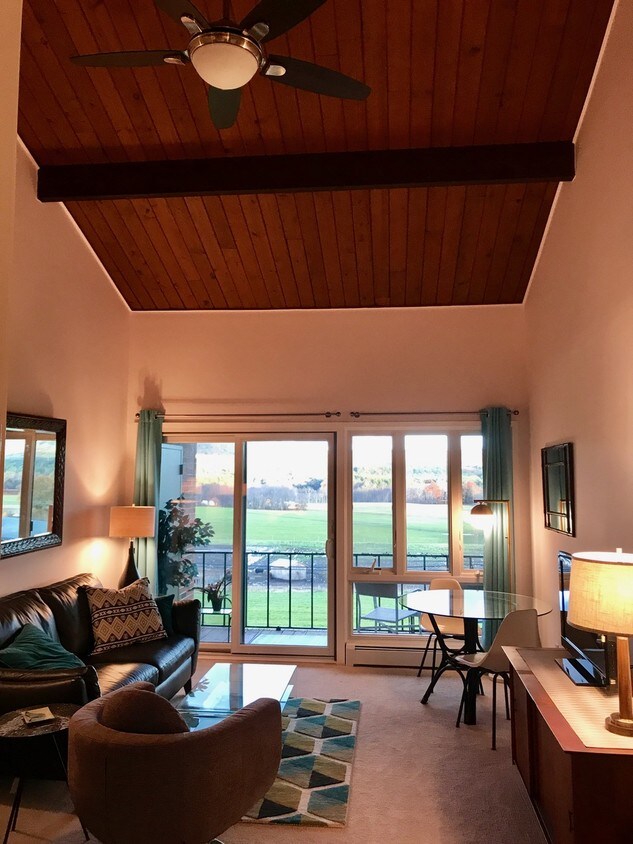 Living room - 232 N East St