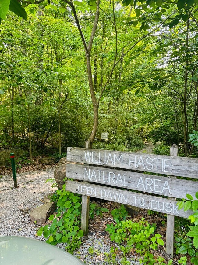 Foto del edificio - Remodeled 3BR Home in South Knoxville Near Urban Wilderness | Huge Yard + Carport