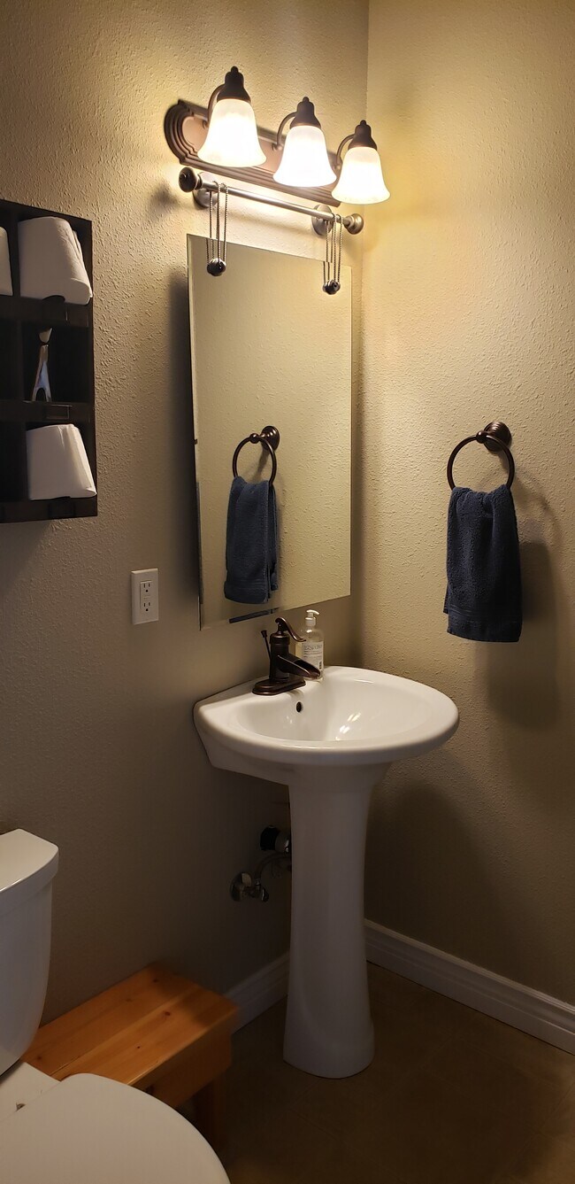 Half Bathroom - 581 Syringa Springs Dr