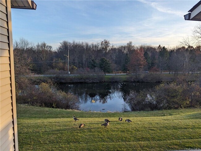 Building Photo - 225 Concord Ln