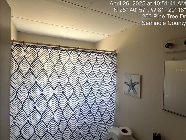 Building Photo - 260 Pine Tree Dr