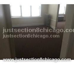 Building Photo - 8049 S Maryland Ave