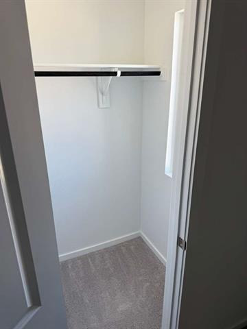 Foto del edificio - 12128 Thoroughbred Dr