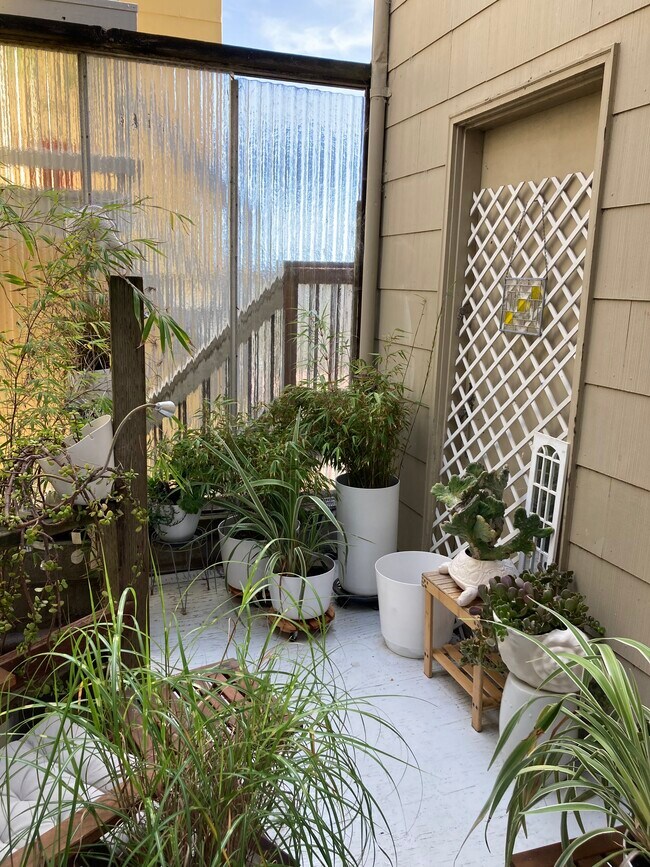 Building Photo - 4515 Balboa St