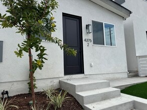 Building Photo - 393 Gavin St