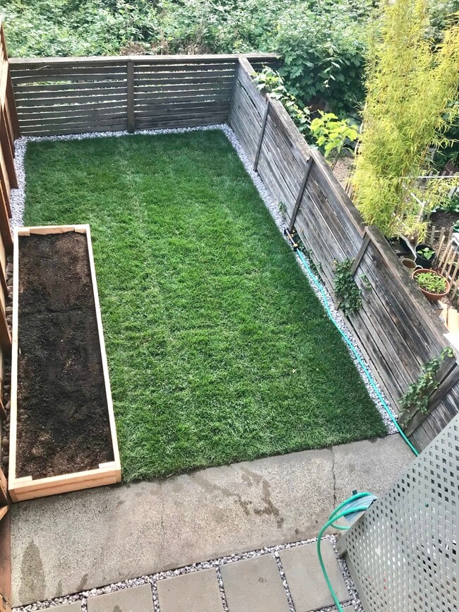 Private backyard - 4253 Palatine Ave N