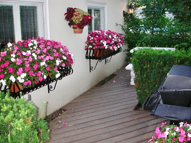 Building Photo - 403 Sherman Ave