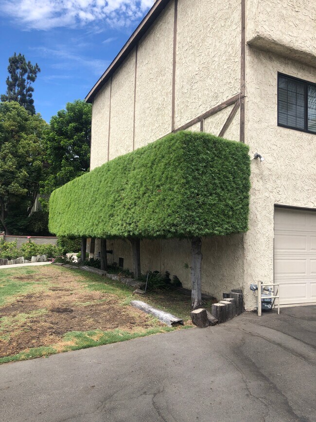 Building Photo - 1737 Peyton Ave