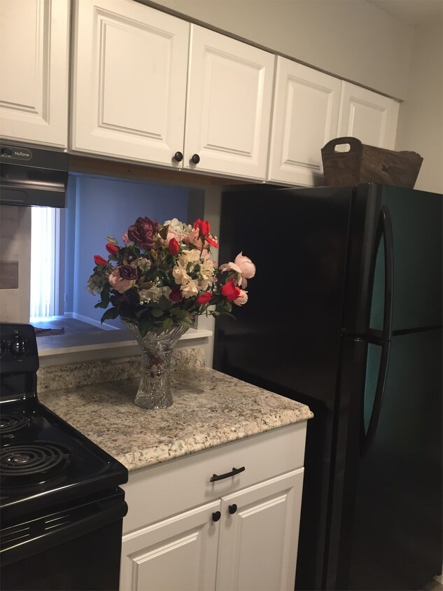 Primary Photo - 9511 Contessa Dr
