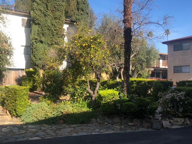 Foto del edificio - 3643 Monon St