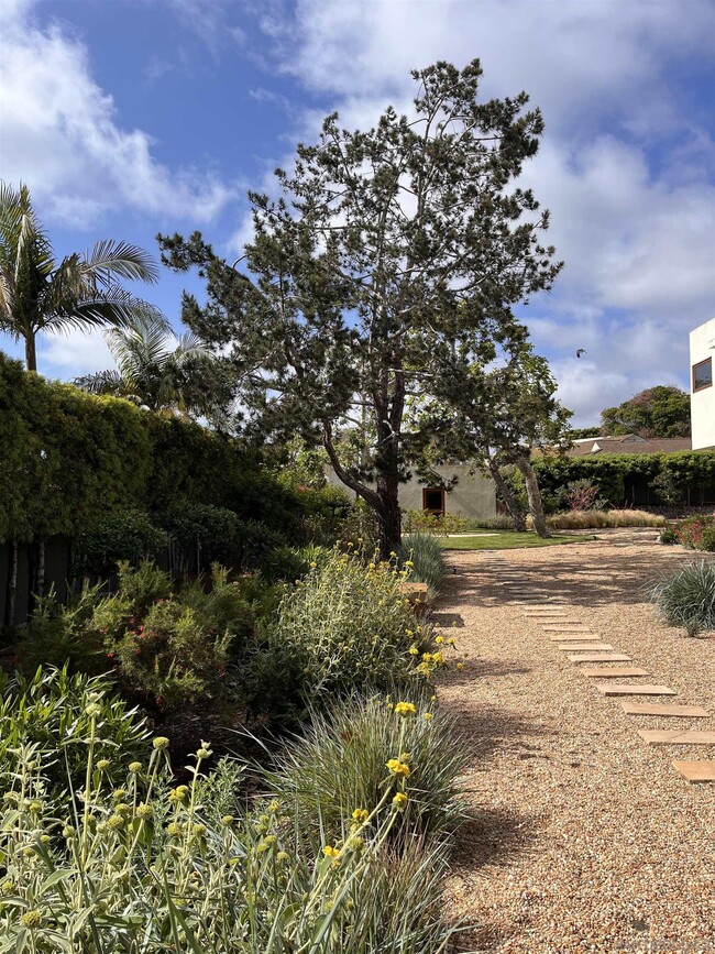 Building Photo - 2330 Calle Del Oro