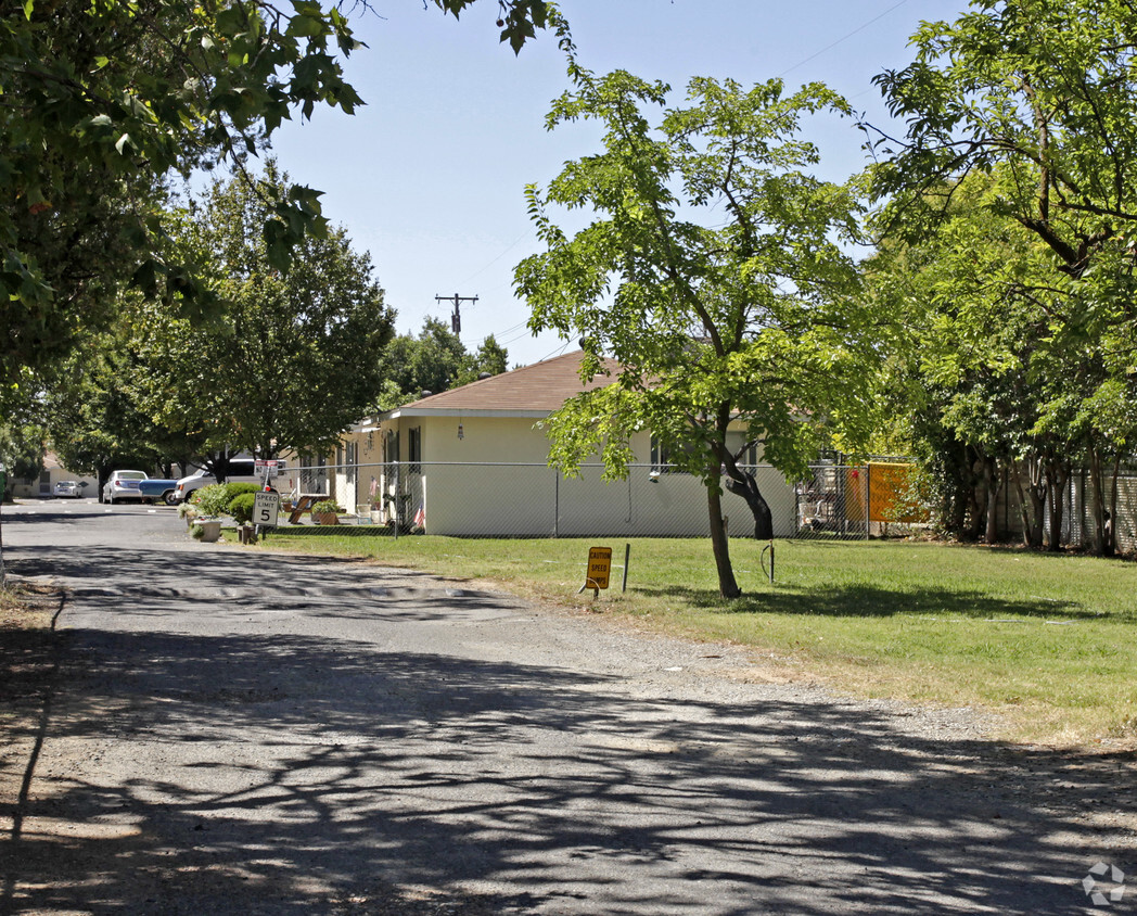 Primary Photo - Camellia Court Village