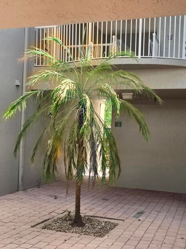 Foto del edificio - 1011 Shoma Dr