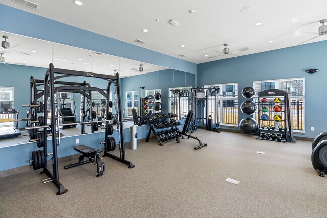 Seasons en el gimnasio Grafton - Seasons at Grafton