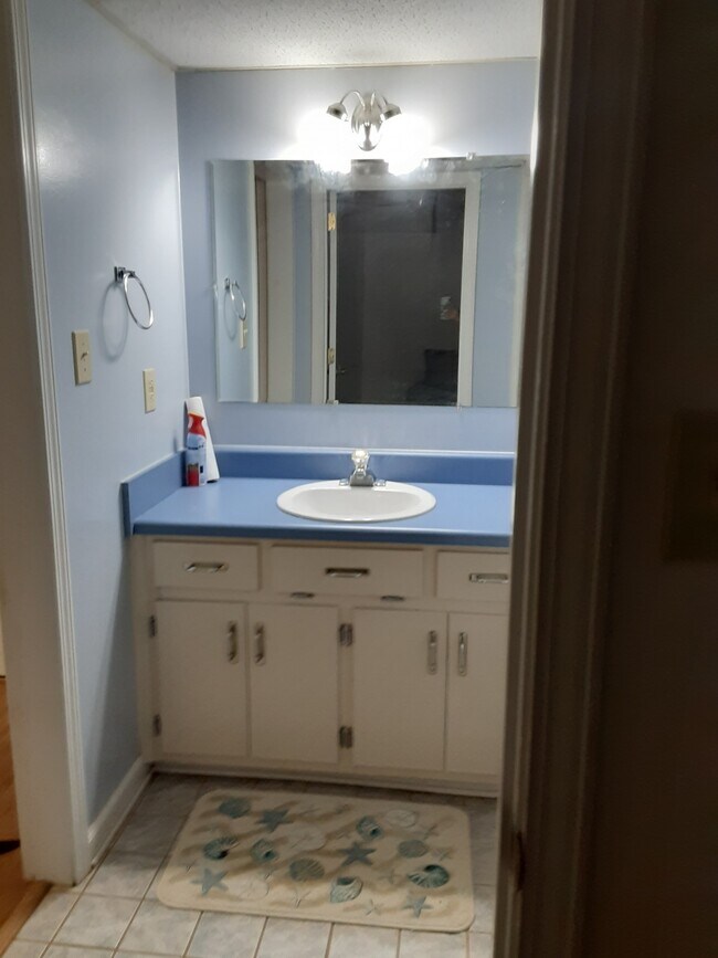 View of the vanity portion of bathroom, while standing at the bedroom door. - 508 Plantation Rd