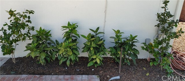Building Photo - 1617 Tradewinds Ln