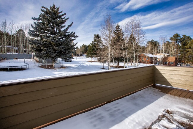 Building Photo - Brand New Woodland Park Townhome!